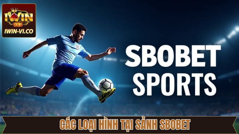 SBOBET: Mở Cánh Cửa Vào Thế Giới Cá Cược Chuyên Nghiệp 3 Những sản phẩm không thể bỏ lỡ tại sảnh cược SBOBET