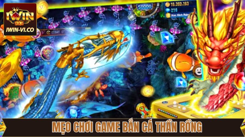 Các mẹo chơi bắn cá mà người mới cần nắm bắt 