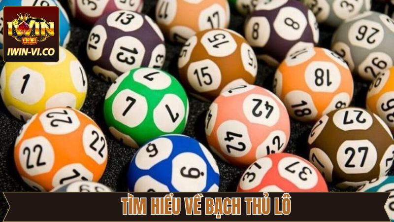 Nét chính về sự hiệu quả của bạch thủ lô 