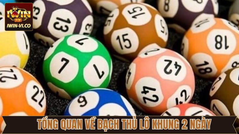 Nét chính về sự hiệu quả của bạch thủ lô khung 2 ngày