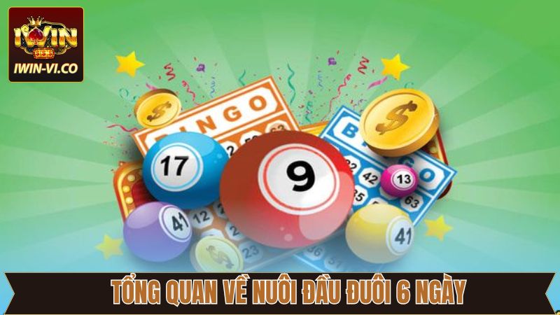Nuôi Đầu Đuôi 6 Ngày - Bí Quyết Bắt Số Cực Chuẩn Cùng Iwin 2 Sơ lược về phương pháp nuôi lô đầu đuôi 6 ngày